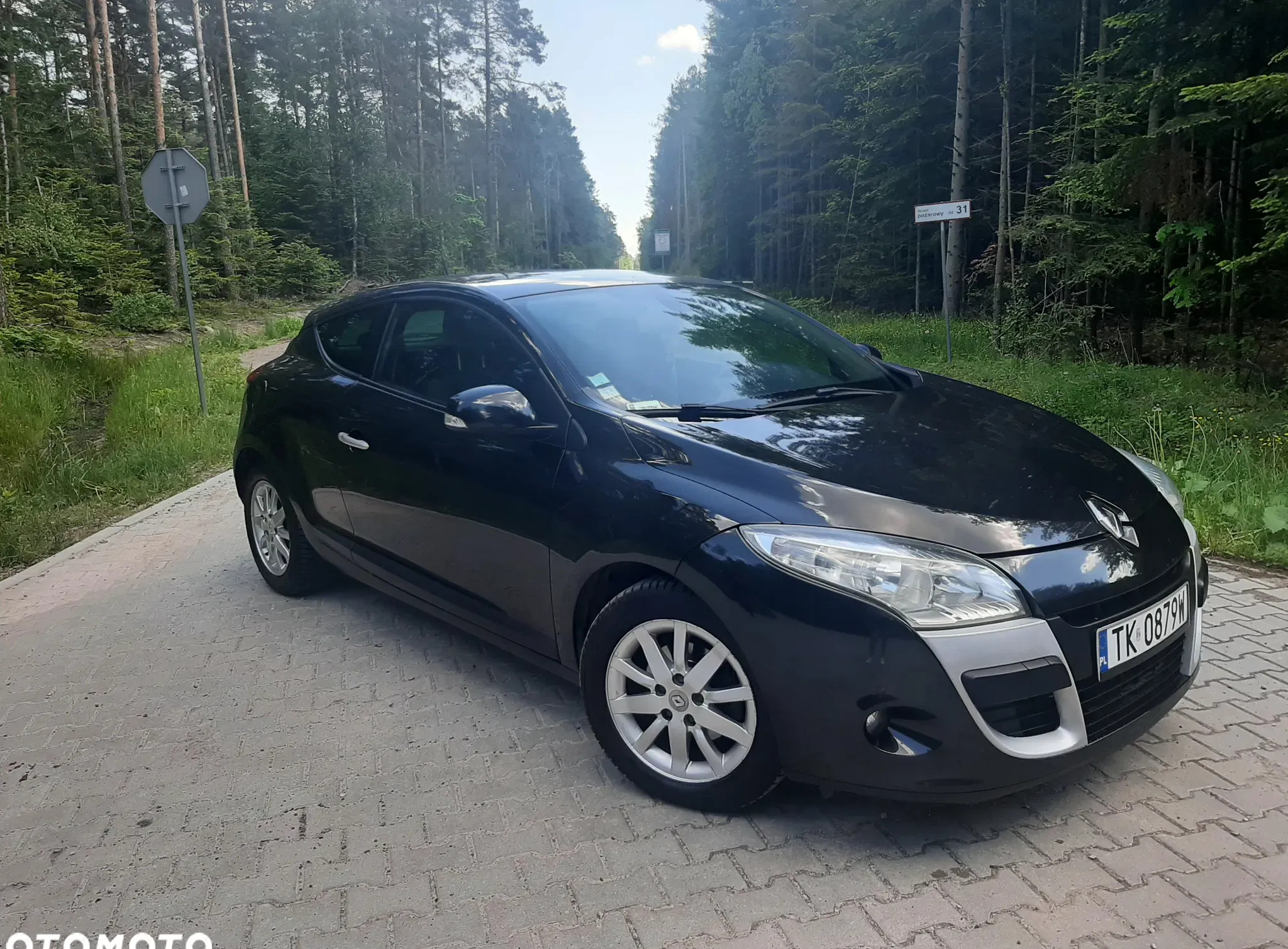 samochody osobowe Renault Megane cena 17900 przebieg: 235190, rok produkcji 2010 z Marki